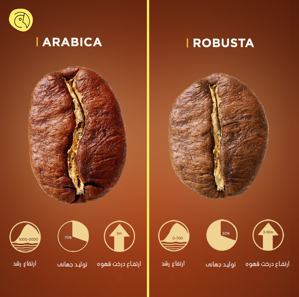 arabica robusta  blog1